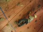 thumbs/IMG_0734.jpg