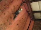 thumbs/IMG_0735.jpg