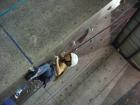 thumbs/IMG_0778.jpg