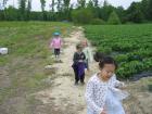 thumbs/IMG_0906.jpg