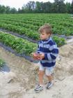 thumbs/IMG_0909.jpg