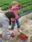 thumbs/IMG_0910.jpg