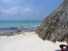 thumbs/IMG_0990.jpg