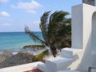 thumbs/IMG_1013.jpg