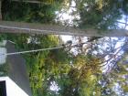 thumbs/IMG_1221.jpg