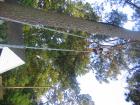 thumbs/IMG_1222.jpg