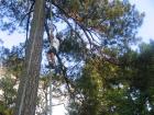 thumbs/IMG_1223.jpg