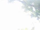 thumbs/IMG_1226.jpg