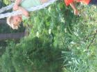 thumbs/IMG_1227.jpg