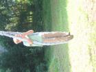 thumbs/IMG_1229.jpg