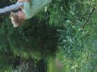 thumbs/IMG_1230.jpg