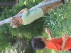 thumbs/IMG_1232.jpg