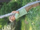 thumbs/IMG_1236.jpg