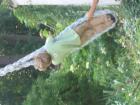 thumbs/IMG_1241.jpg