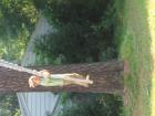 thumbs/IMG_1242.jpg