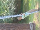 thumbs/IMG_1247.jpg