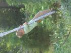 thumbs/IMG_1248.jpg