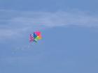 thumbs/IMG_1331.jpg