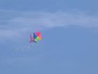 thumbs/IMG_1331.jpg