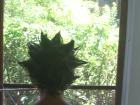 thumbs/IMG_1520.jpg