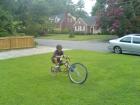 thumbs/dsc00265.jpg