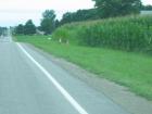 thumbs/IMG_1595.jpg