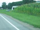 thumbs/IMG_1596.jpg