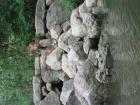 thumbs/IMG_1613.jpg