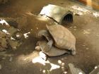 thumbs/IMG_1649.jpg