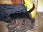 thumbs/IMG_1679.jpg