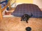 thumbs/IMG_1680.jpg