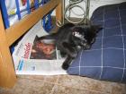 thumbs/IMG_1681.jpg