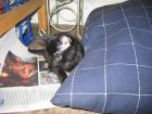 thumbs/IMG_1682.jpg