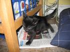 thumbs/IMG_1683.jpg