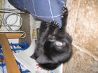thumbs/IMG_1684.jpg