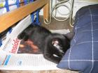 thumbs/IMG_1685.jpg