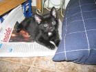 thumbs/IMG_1686.jpg