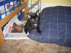 thumbs/IMG_1687.jpg