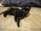 thumbs/IMG_1689.jpg