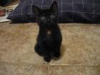 thumbs/IMG_1692.jpg