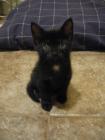 thumbs/IMG_1693.jpg