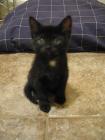 thumbs/IMG_1694.jpg