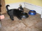 thumbs/IMG_1700.jpg