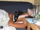thumbs/IMG_1722.jpg