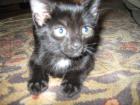 thumbs/IMG_1724.jpg