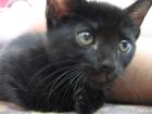 thumbs/IMG_1732.jpg