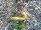 thumbs/dsc00438.jpg