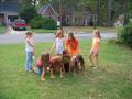 thumbs/IMG_1808.jpg