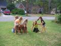 thumbs/IMG_1810.jpg