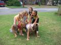 thumbs/IMG_1811.jpg
